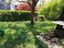 The nice little garden!