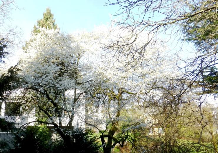 Blick aus dem Fenster im Frühling,