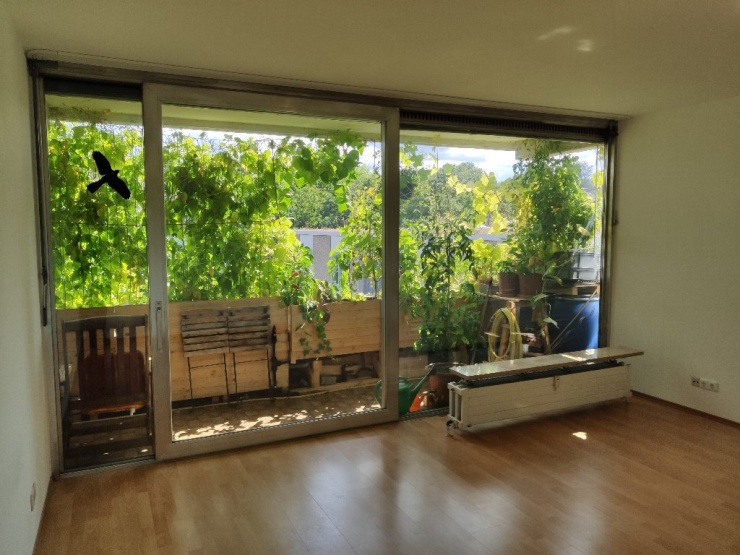 Zimmer mit Blick nach draußen