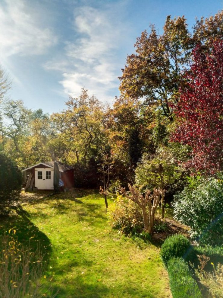 Südbalkonsicht im Herbst