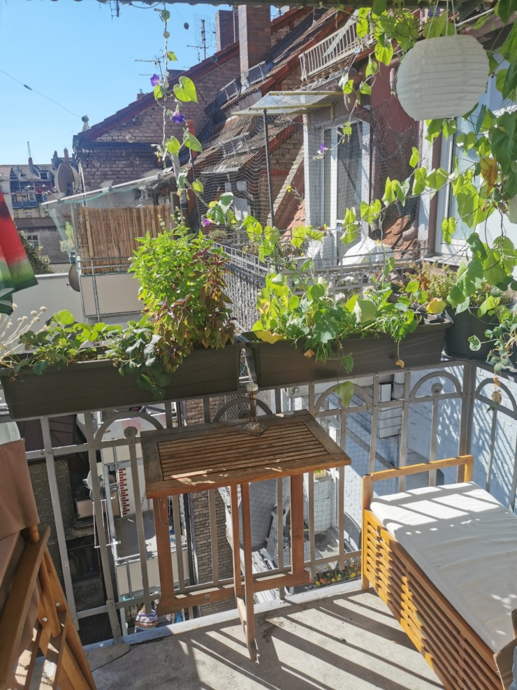 Balkon
