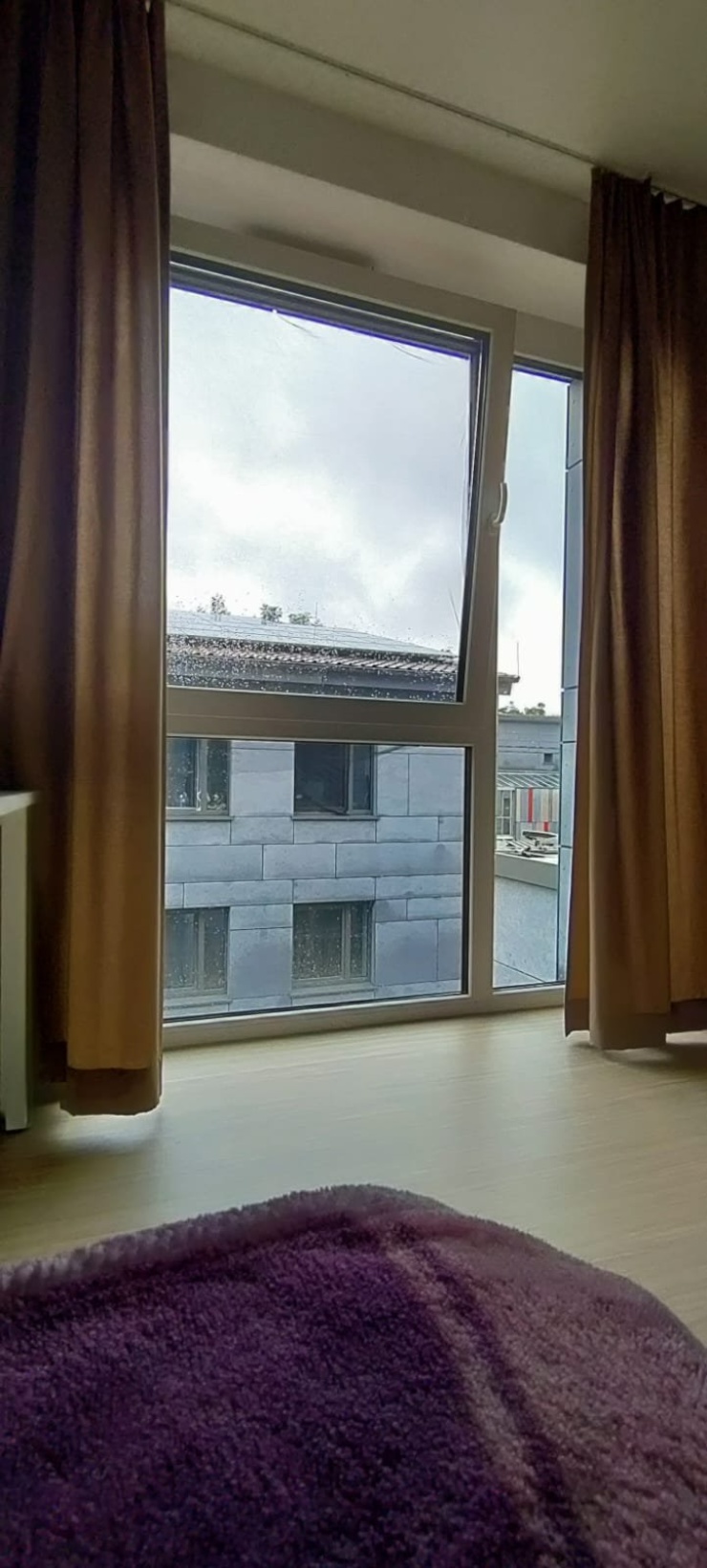 Window