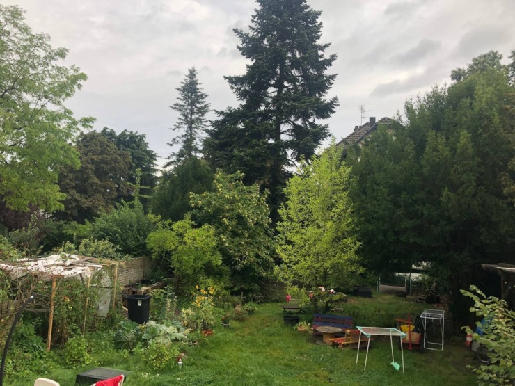 Unser Garten