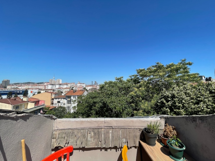 view