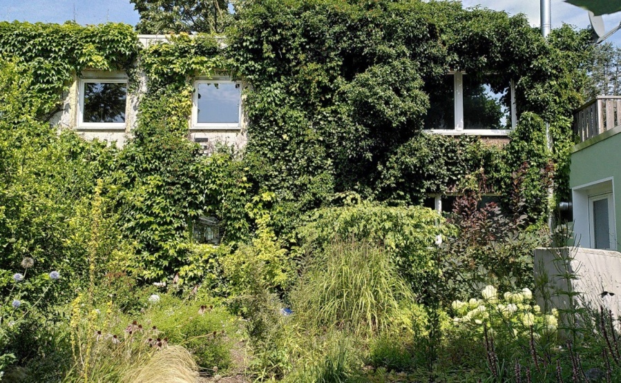 1.OG Zimmer Linde rechts, Links Küche