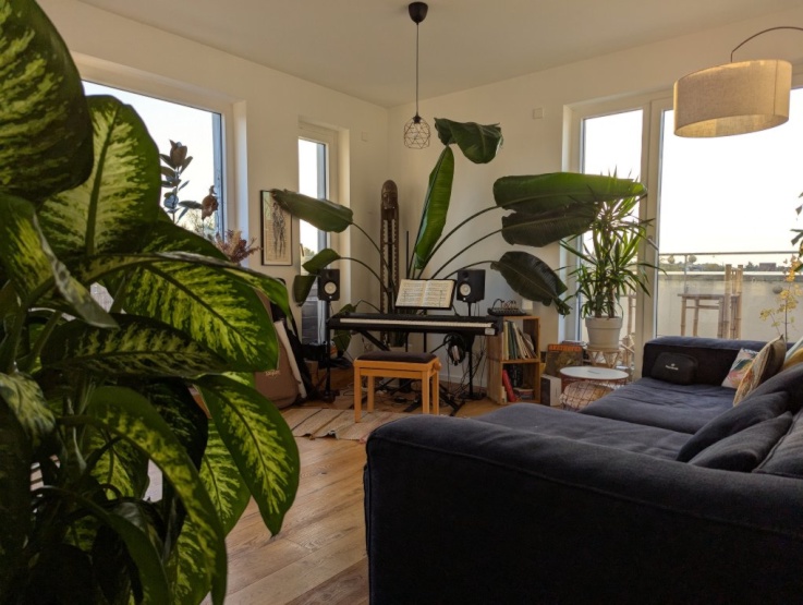 Living room with south and west facing windows