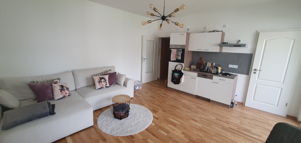 Sleeping Sofa/ living area