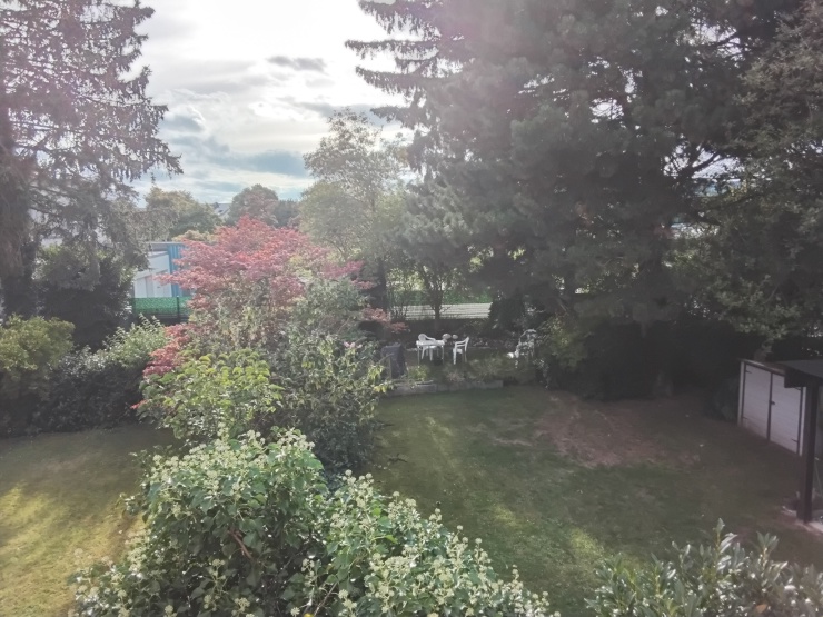 Blick in unseren Garten