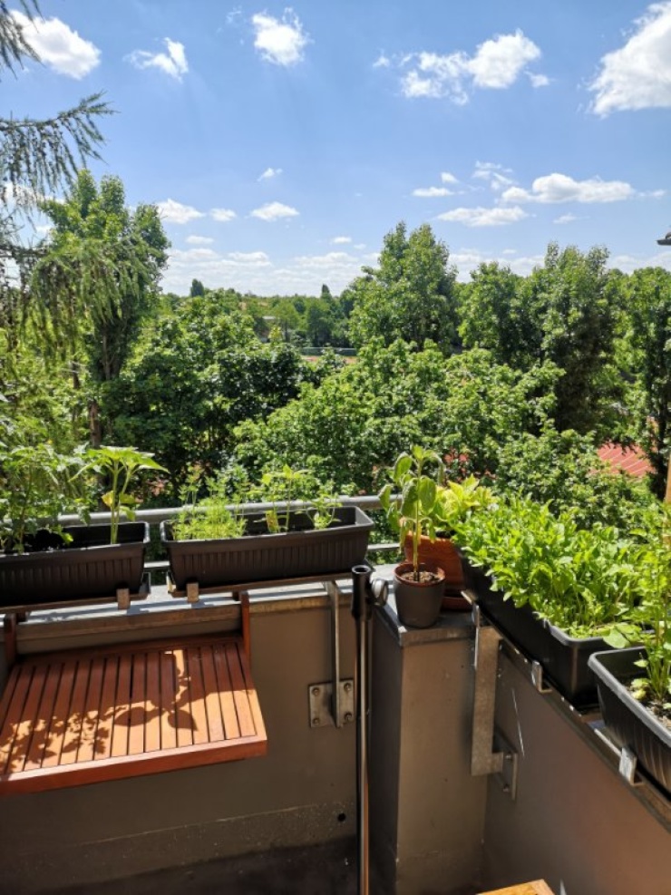 Balcony in Summer