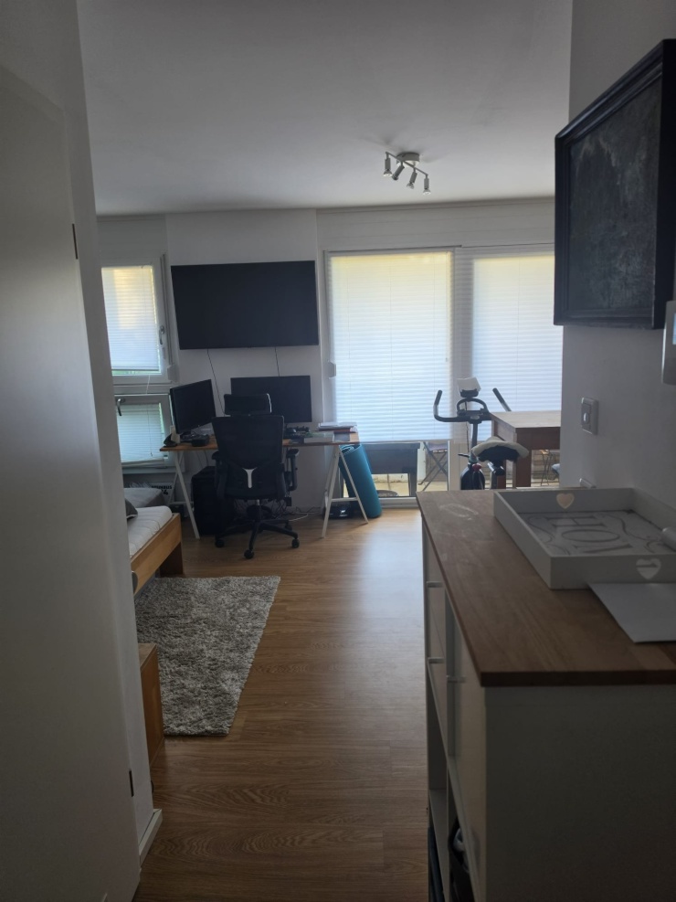 Wohnzimmer - Ansicht Eingang