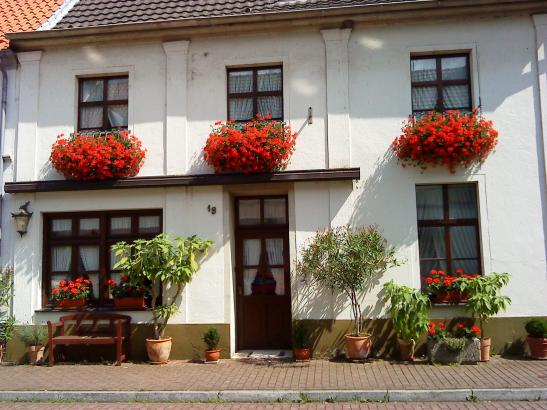 Ad image: Möbliertes Zimmer in stilvollem Altbau für (Studenten-)WG mit 5 Personen