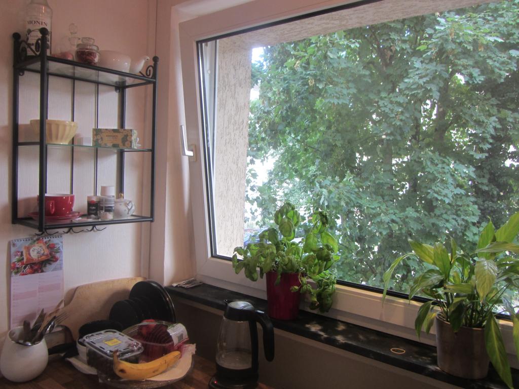 1 Room Flat Wiesbaden-Nordost Taunusstrasse 74 - Küche