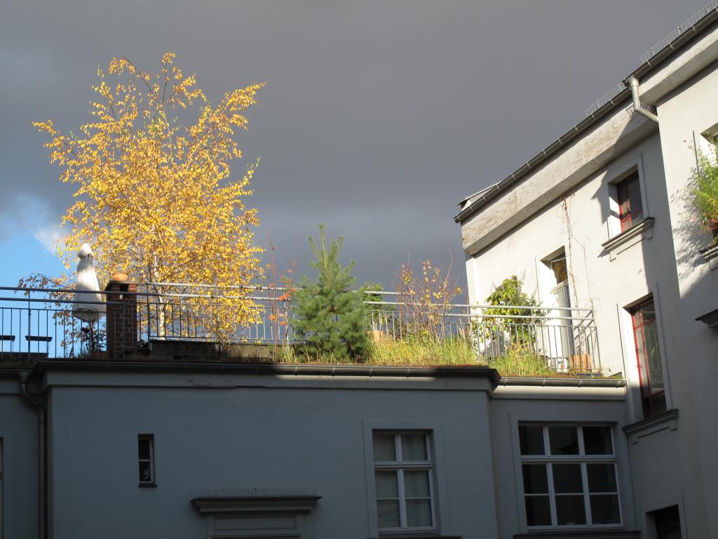 helles schönes 24 qm Zimmer in schöner 125 qm Wohnung – Foto 13