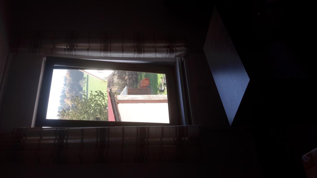 Ein-Zimmer-Wohnung im Jenaer Umland – An der Bahn 9, 7381 Jena Kleindembach – Vorschaubild 5
