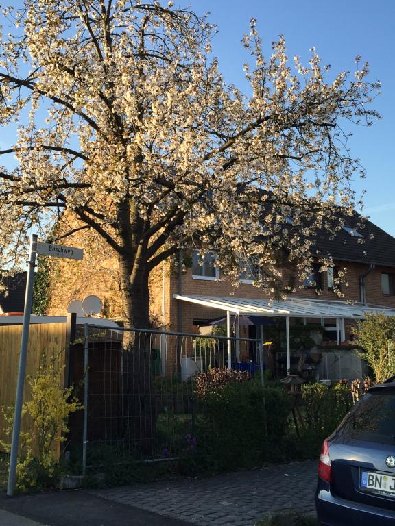 Gepflegtes und modern möbliertes Reihenhaus zu vermieten Kinder willkommen – Buschweg 7, 53229 Bonn Vilich-Müldorf – Vorschaubild 2