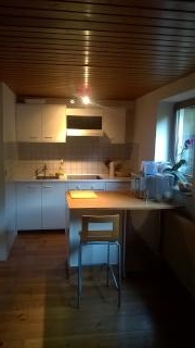 Anzeigenbild: Gut geschnittene 1-Zimmer Wohnung