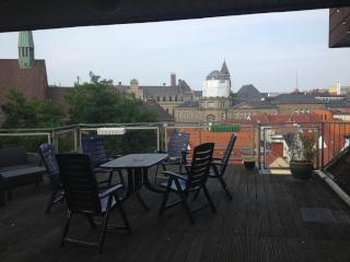 Anzeigenbild: Lichtdurchflutetes Zimmer mit 30 qm Dachterrasse!