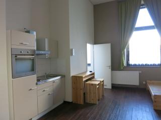 Anzeigenbild: Helles, ruhiges 1-Zimmer-Apartment in der Alten Schlosserei ab sofort