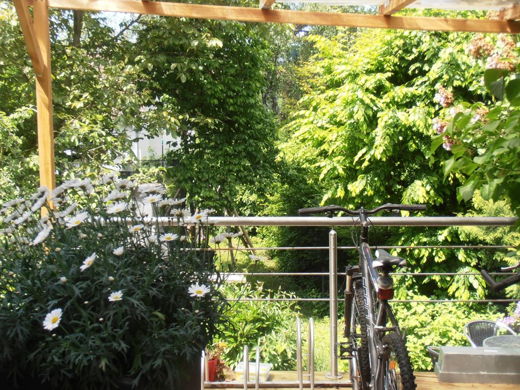 Sonniges Wohlfühl-Apartment, möbliert: Oase in S-Süd mit viel Grün, raffiniertem Schnitt, Sonnenterrasse, Grillmöglichkeit im Garten, Feuerstelle für Treffen mit Freunden, überdachtem Fahrradabstellplatz – Engelboldstr., 70569 Stuttgart Süd – Vorschaubild 2