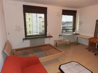 Ad image: Nette 2 Zimmerwohnung in Zentraler aber ruhiger Lage 