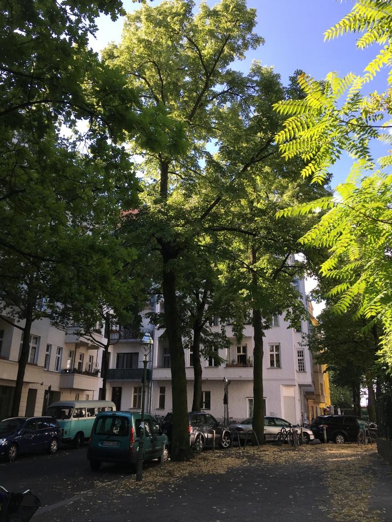 URGENT RENT:Furnished Apartment in central Berlin from 1st September 2026 to 31st October 2027/ 1 Zimmer Wohnung in Berlin ab 1.09.2026 bis 31.09.2027 (6mths-1yr).