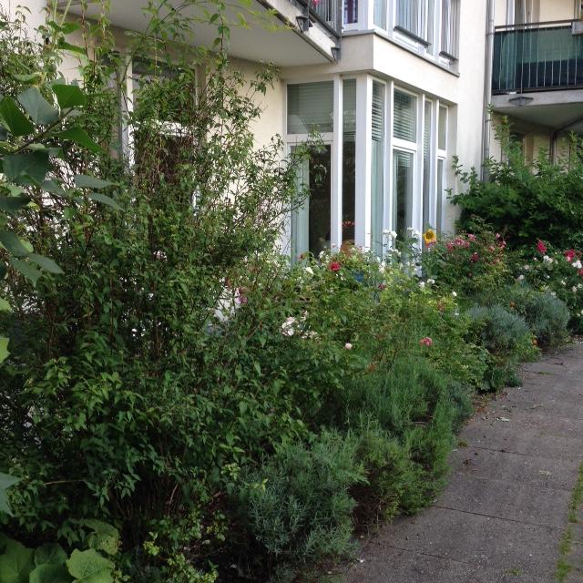 Tolle Wohnung in Ottensen, zentral, hell, harmonisch möbliert und neuer Küche – Ottensen, 22765 Hamburg Altona-Ottensen – Vorschaubild 10