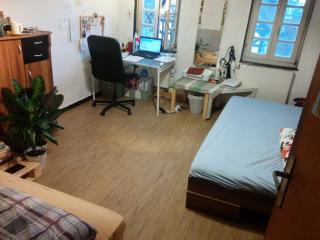 Anzeigenbild: double-sized bed and other utility inkl. shower, kitchen, bathroom (perfect if you are looking for a cheap place to sleep)