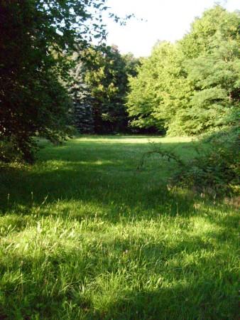 Flatshare Dudweiler Saarbrückerstr. 268 - Garten