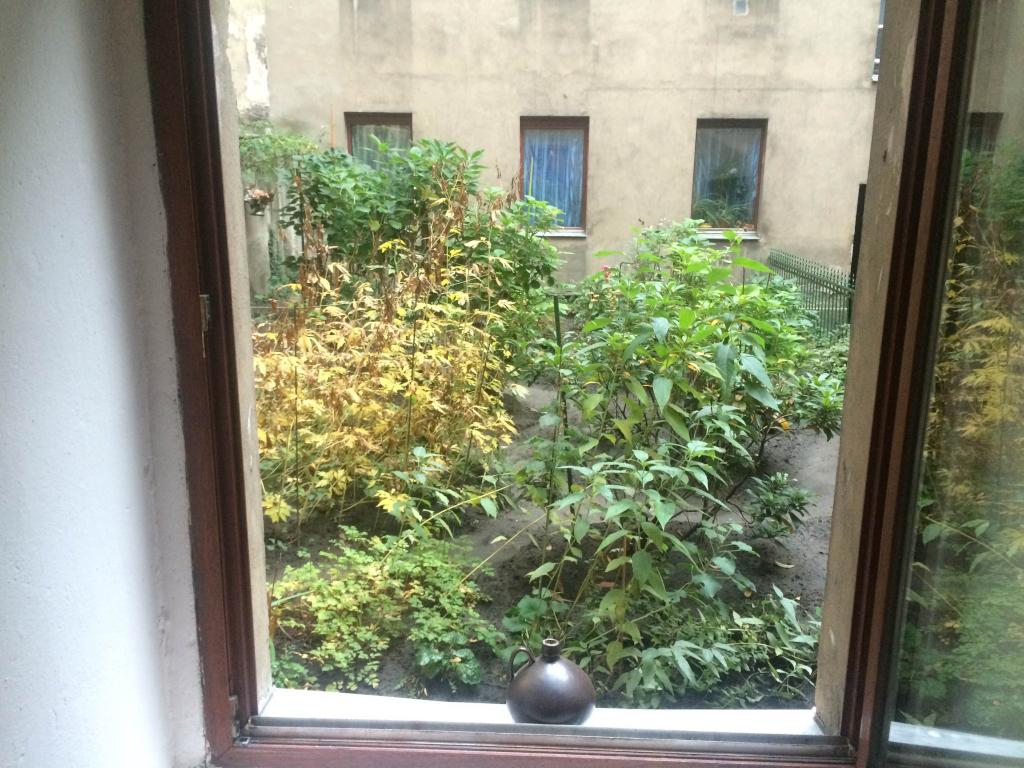 1 Zimmer-Wohnung in Schöneberg nähe Ringbahn/Studio apartment with garden! – Leberstr. 23, 10829 Berlin Schöneberg – Vorschaubild 3