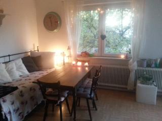 Anzeigenbild: Schöne 1-Zimmerwohnung mit Balkon im Zentrum vollmöbliert