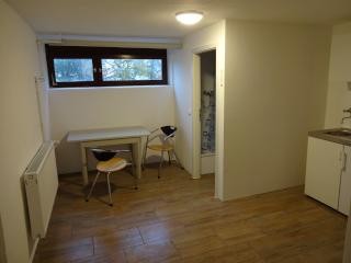 Imagen del anuncio: Habitación amueblada con baño/WC, dormitorio y cocina