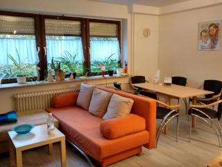 Imagen del anuncio: 1,5-Zimmer Singlewohnung in Langen (teilmöbliert) mit EBK