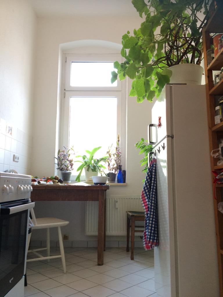 Prenzlauer Berg - tolle, ruhige, sonnige Wohnung zu vermieten 20.8.2026 bis 8.10.2026