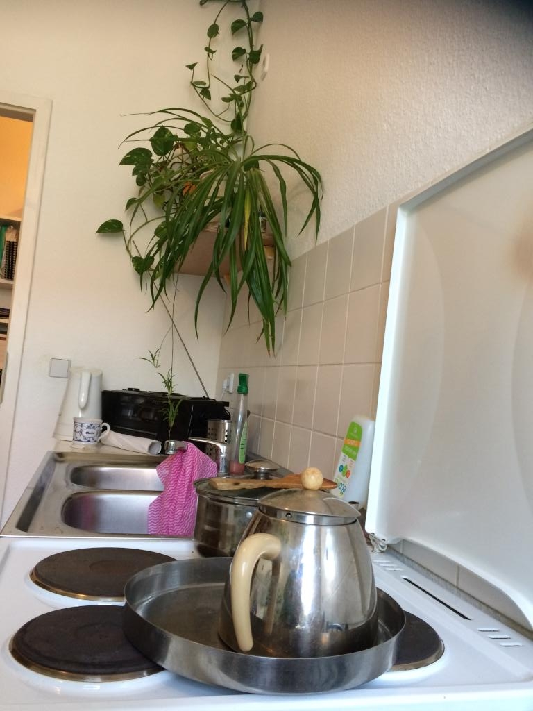 Prenzlauer Berg - tolle, ruhige, sonnige Wohnung zu vermieten 20.8.2026 bis 8.10.2026 – Schivelbeiner, 10439 Berlin Prenzlauer Berg – Vorschaubild 3