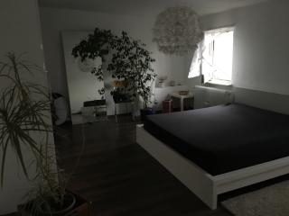 Anzeigenbild: Möbiliertes, teilmöbiliertes, oder leeres Zimmer in kleinem Fachwerkhaus zu vermieten