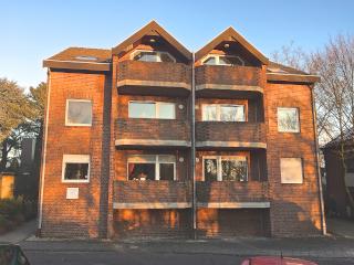 Ad image: Beautiful two-room apartment for one person at the entrance of Kohlscheid, only for rent in person