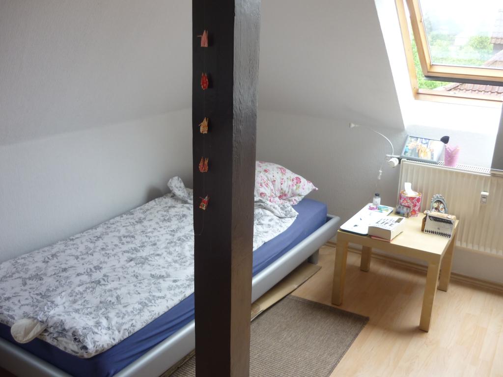 WG-Zimmer Mitte Friedrich-Hegel-Straße - kleines Zimmer