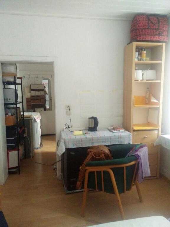 1 Room Flat Friedrichstadt Luisenstrasse - Schlaf- Wohnzimmer 