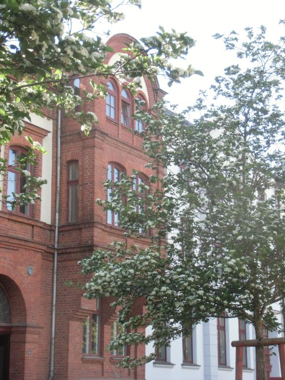 Gemütliche 2 Zimmer Whg. im Dachgeschoß mit großer Terrasse – Platz der Jugend 5, 19053 Schwerin Feldstadt – Vorschaubild 6