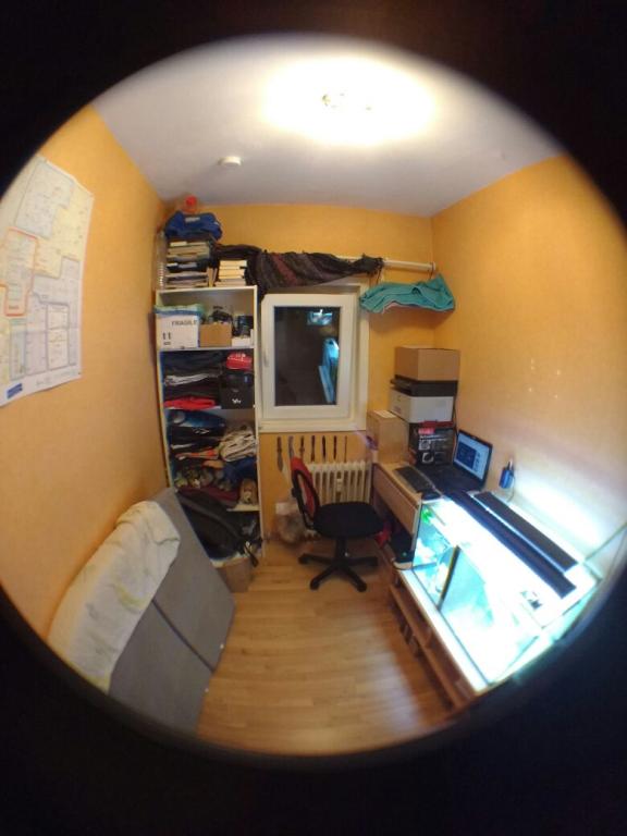 Flatshare Hansenhaus Carl-Strehl Str.17 - Zimmer (3)