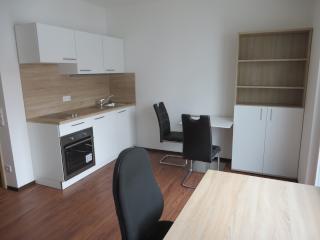 Ad image: Schöne 1-Zimmer-Studentenwohnung, möbliert, zentrumsnah