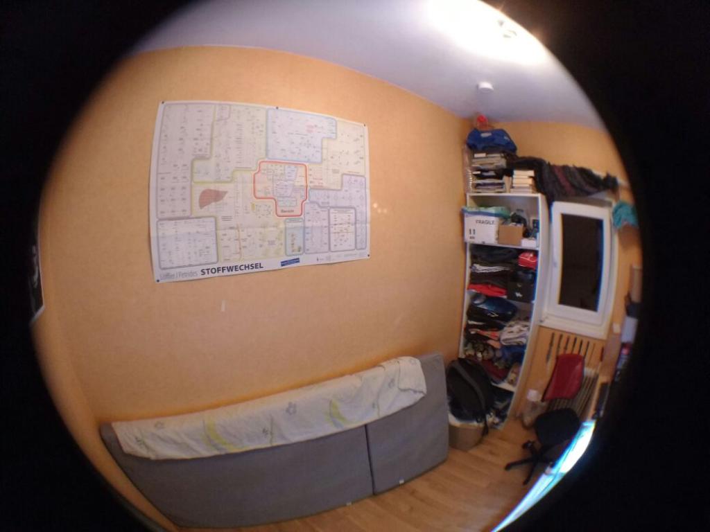 Flatshare Hansenhaus Carl-Strehl Str.17 - Zimmer (2)