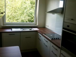 Anzeigenbild: Renovierte / Möblierte 2-Zimmer Wohnung mit sonnigem Balkon