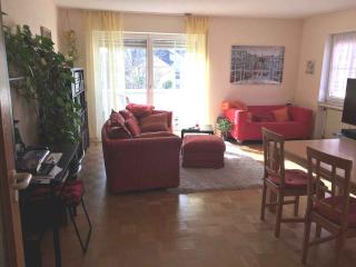 Imagen del anuncio: SCHÖNE 3ZKB Whg. KONZ, Balkon, Doppelgarage