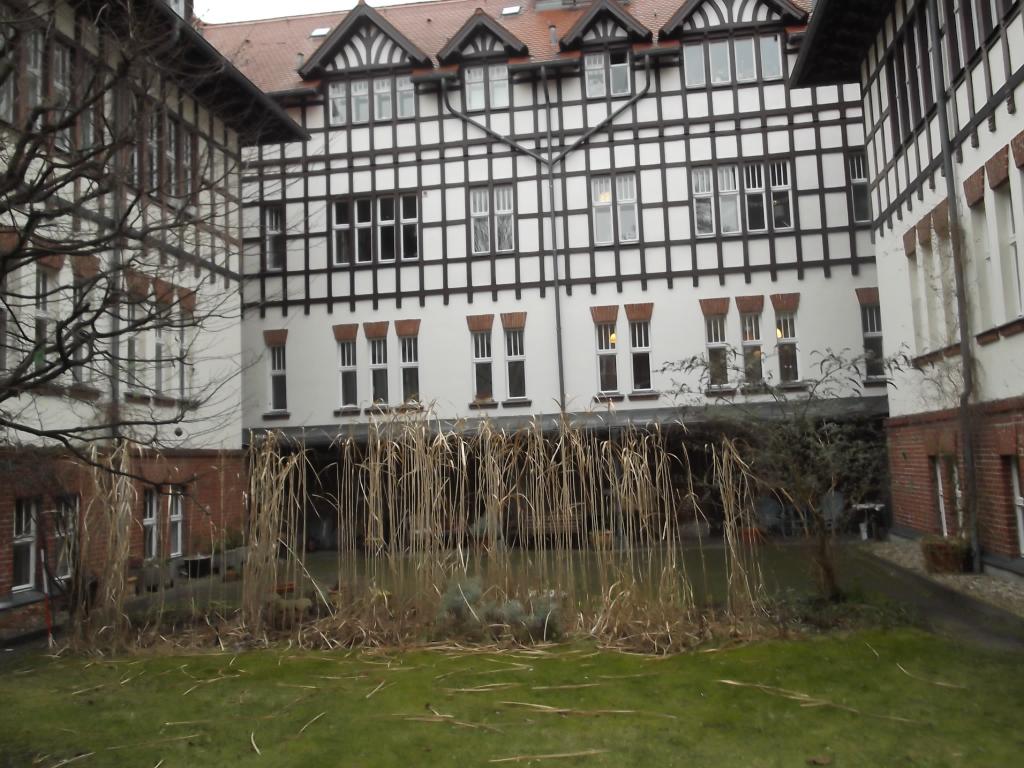 Habitación en WG Lichterfelde lorenz-str. 11 - Dies ist der momentane Winterblick in einen Teil unseres Gartens. Ab dem Frühling wird es immer schöner!