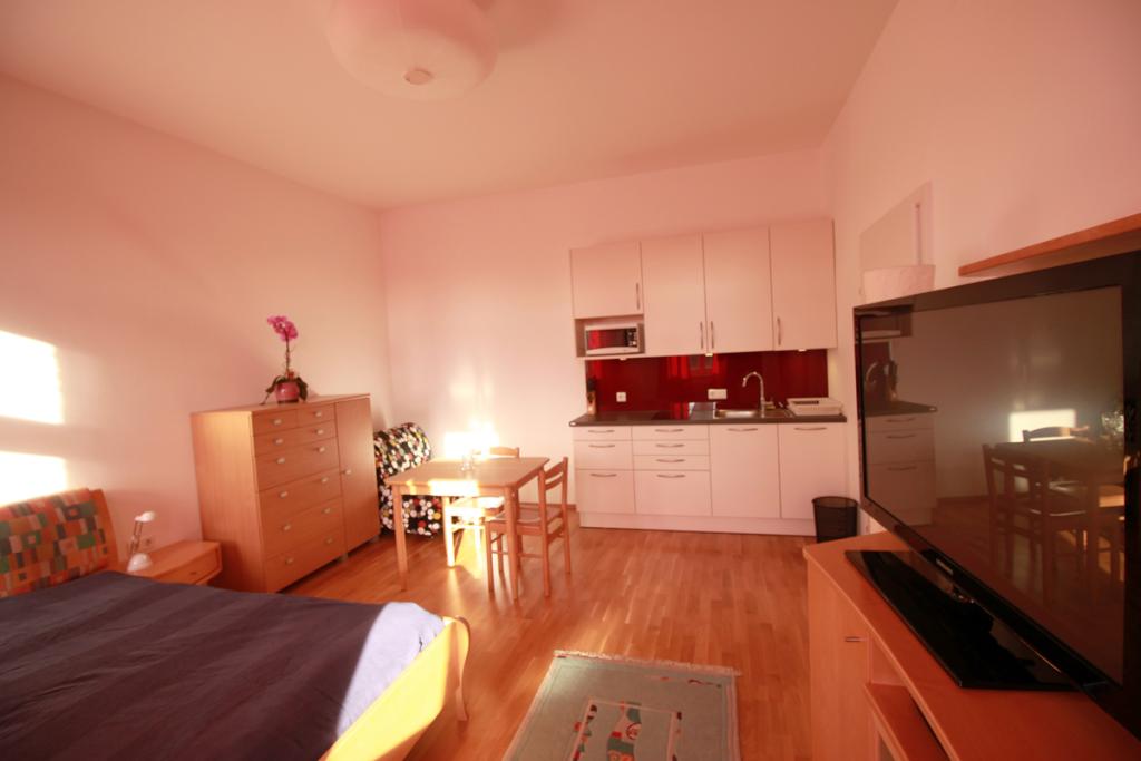 1-Zimmer-Wohnung 20. Bezirk Brigittenau Klosterneuburger Straße 90 - Studio Ansicht 2