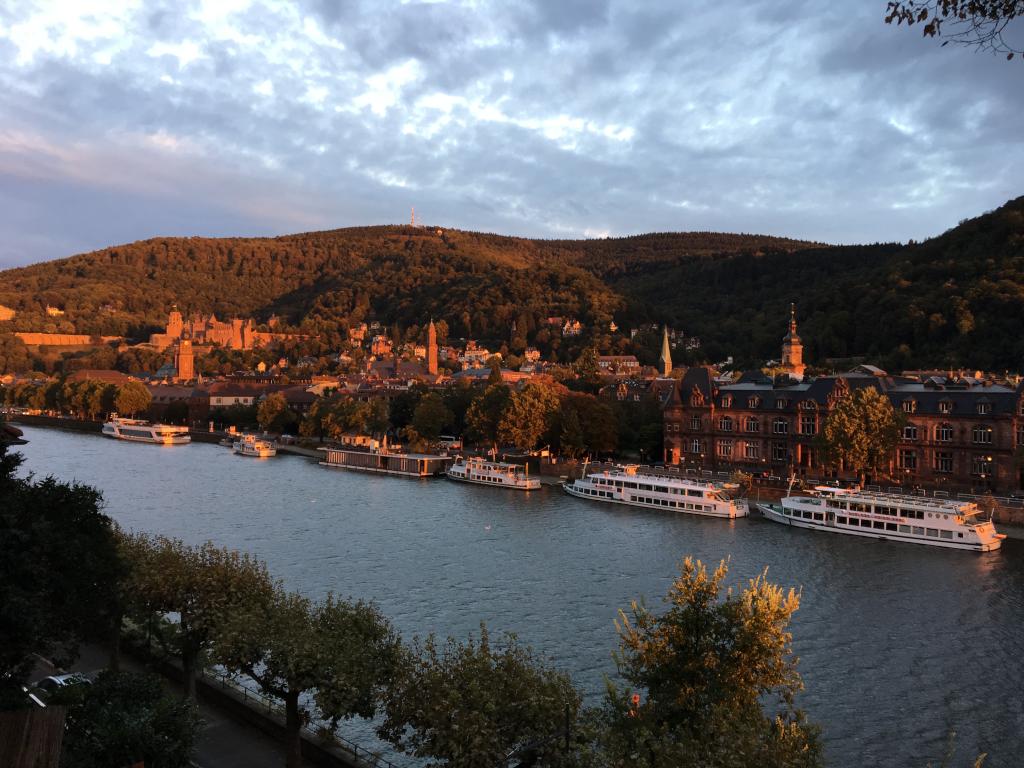 WG-Zimmer Neuenheim Neuenheimer Landstr. 42 - Blick von unserem Balkon 