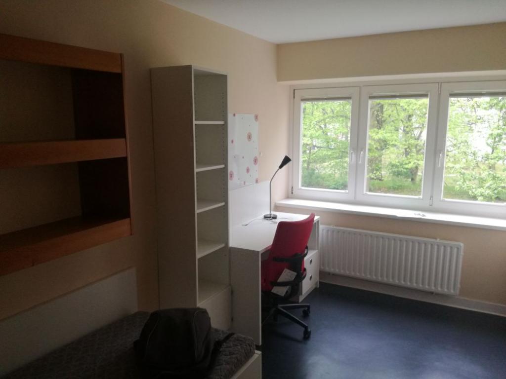 one bedroom – Bergausstrasse strasse 35, 12437 Berlin Neukölln – Vorschaubild 2