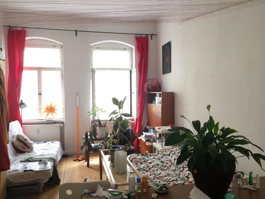 WG-Zimmer Neustadt Förstereistraße - das Zimmer