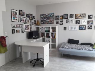 Anzeigenbild: 24qm in einem großen Haus